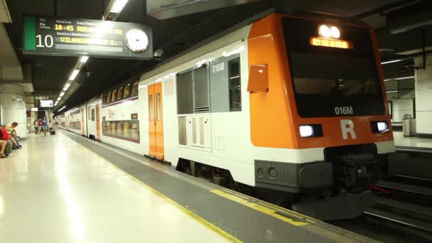 Pasajeros que utilizan el tren urbano — Vídeo de stock