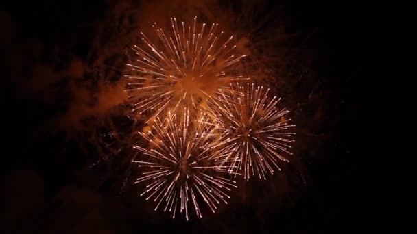 Helder vuurwerk in de nachtelijke hemel — Stockvideo