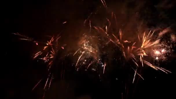 夜空中明亮的焰火 — 图库视频影像