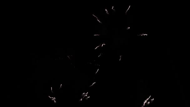 Bright fireworks in night sky — Stock Video
