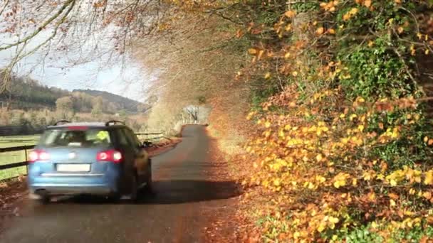 Водіння автомобілем восени — стокове відео
