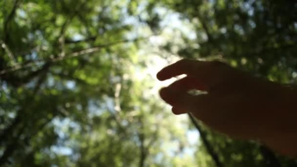 Rayos de sol a través de los dedos — Vídeos de Stock