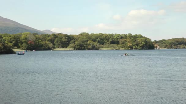 平静的湖面自然全景 — 图库视频影像