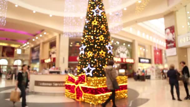 Люди покупки до Різдва — стокове відео