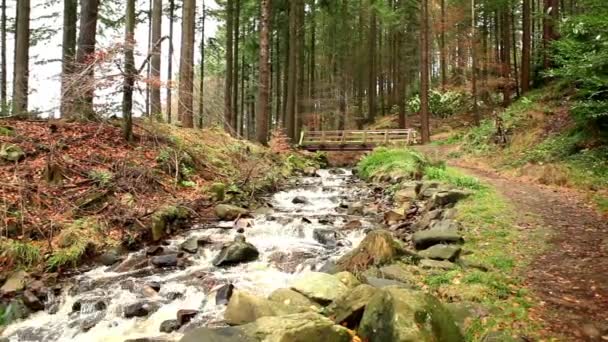 Río de montaña y puente de madera — Vídeos de Stock