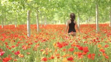 Haşhaş alanında yürüyen kadın