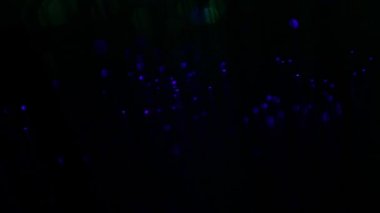 Yanıp sönen ışıklar hareketli