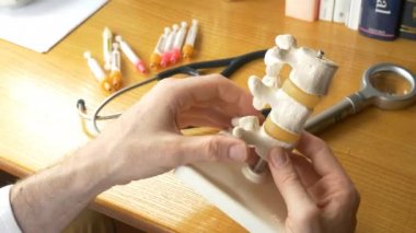 Doktor omurga kemik modelini kullanma