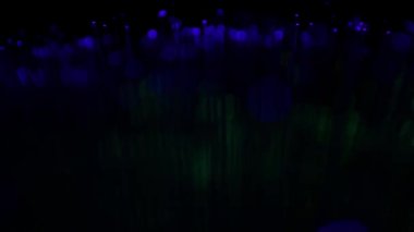 Yanıp sönen ışıklar hareketli