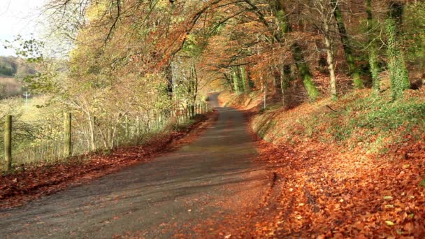 Camino rural de otoño — Vídeos de Stock