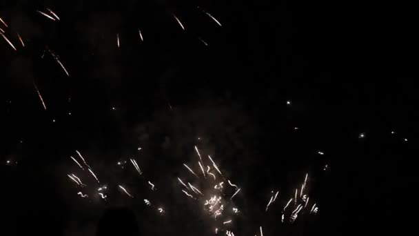 Feux d'artifice lumineux dans le ciel nocturne — Video