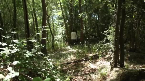 Fille marche dans la forêt avec chien 