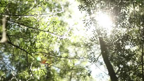 Plan de suivi de la nature  