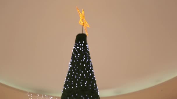 Beautiful Christmas tree in shopping mall — Stock Video
