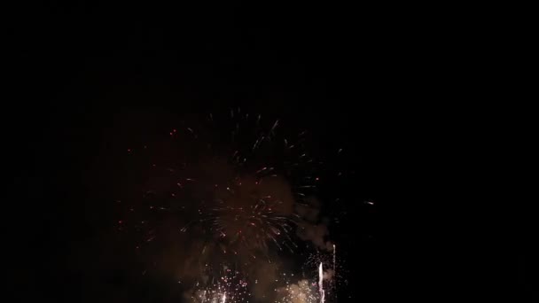 Φωτεινά πυροτεχνήματα στο νυχτερινό ουρανό — Αρχείο Βίντεο