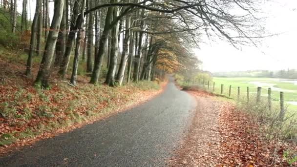 Осенняя сельская дорога — стоковое видео