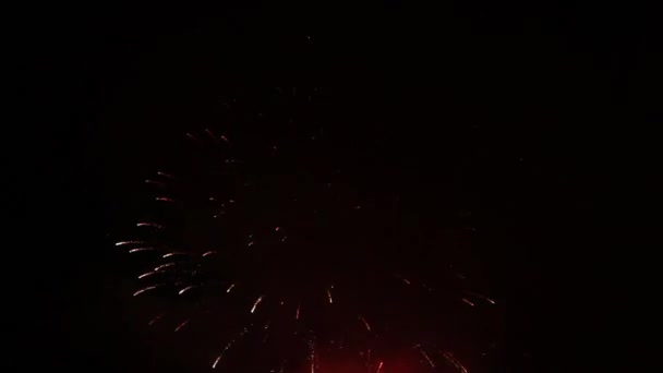 Jasné ohňostroje na noční obloze — Stock video