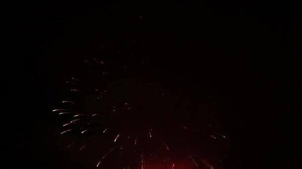 Feux d'artifice lumineux dans le ciel nocturne — Video