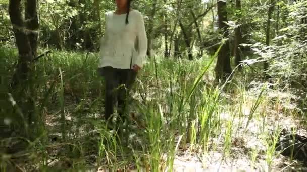 Donna Sexy Che Cammina Con Cane Nella Foresta — Video Stock