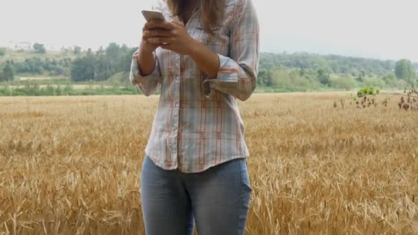 Frau nutzt Smartphone im Feld — Stockvideo