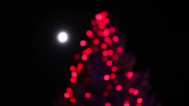 vánoční stromeček světla v noci 