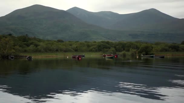 Спокійне озеро панорама природи — стокове відео