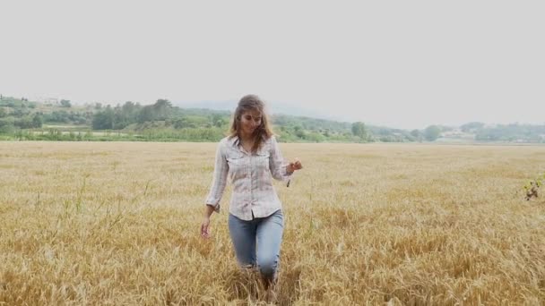 Vacker flicka i vetefält — Stockvideo