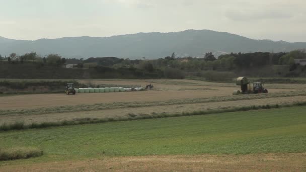 Tractors Working in a Field — Stockvideo