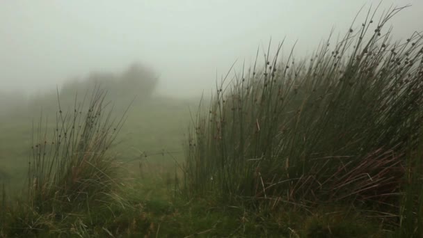 Paisagem das terras altas da Escócia — Vídeo de Stock