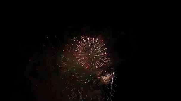 Helder vuurwerk in de nachtelijke hemel — Stockvideo