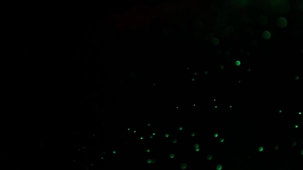 Voyants clignotants mobiles 