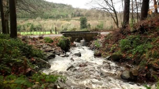 Río de montaña y puente de piedra — Vídeo de stock