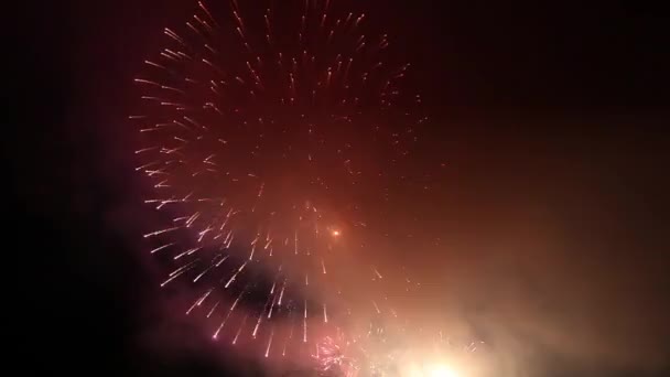 Helder vuurwerk in de nachtelijke hemel — Stockvideo