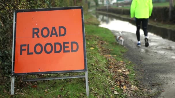 Man with dog at flooded road — Stock video