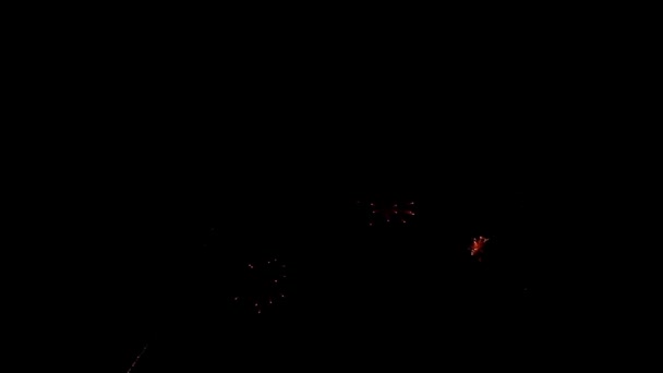 Feux d'artifice lumineux dans le ciel nocturne 