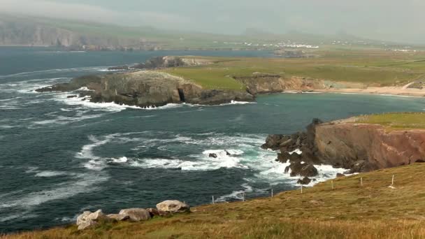 令人印象深刻在爱尔兰的悬崖 — 图库视频影像