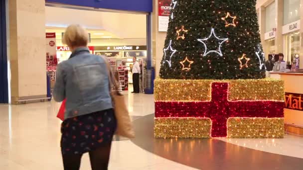 Time lapse of people shopping before Christmas — Stock Video