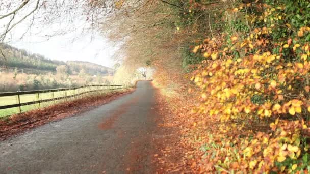 Herfst landelijke weg — Stockvideo