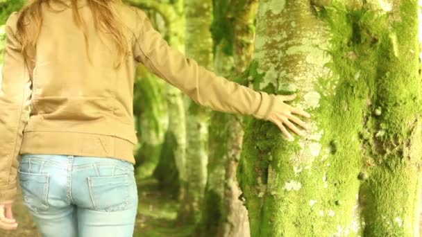 Mujer caminando entre grandes árboles viejos — Vídeos de Stock