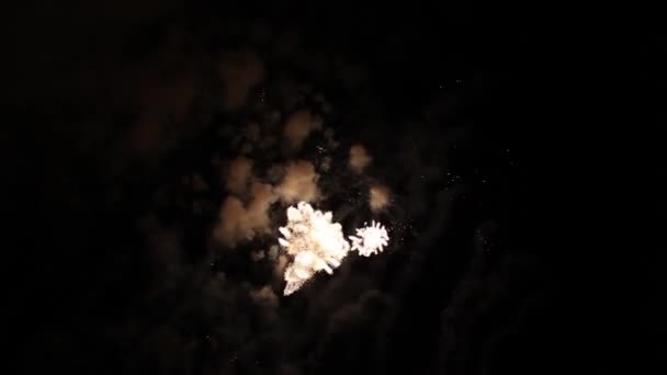 Feux d'artifice lumineux dans le ciel nocturne — Video