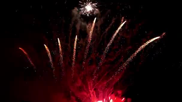 Fuegos artificiales brillantes en el cielo nocturno — Vídeos de Stock