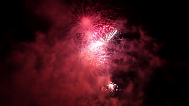 Fuochi d'artificio luminosi nel cielo notturno — Video Stock