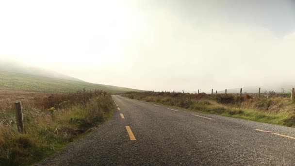 Countryside road and grass landscape — Stock Video