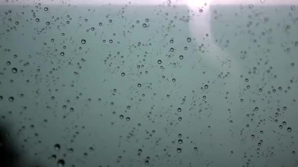 Heavy rain drops — Stock Video