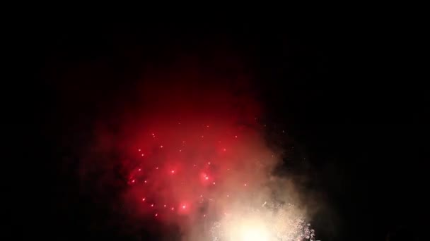 Helder vuurwerk in de nachtelijke hemel — Stockvideo