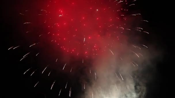 Fogos de artifício brilhantes no céu noturno — Vídeo de Stock