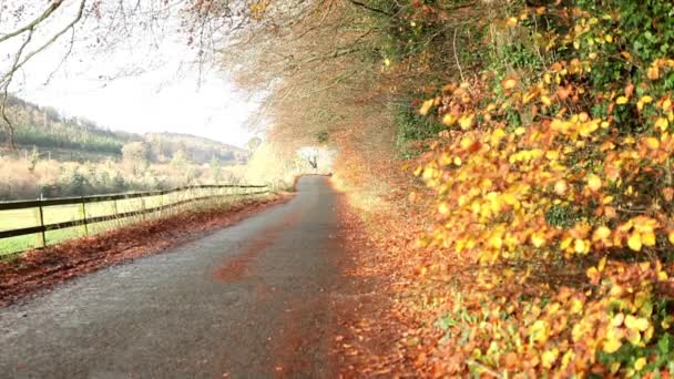 Route rurale d'automne 