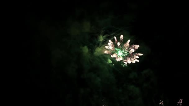 Feux d'artifice lumineux dans le ciel nocturne 