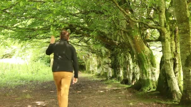 Человек ходит среди больших старых деревьев — стоковое видео