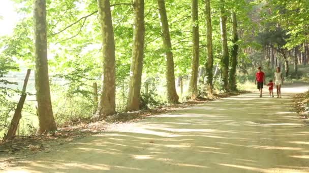 Familia con hijo en un paseo por la naturaleza — Vídeos de Stock